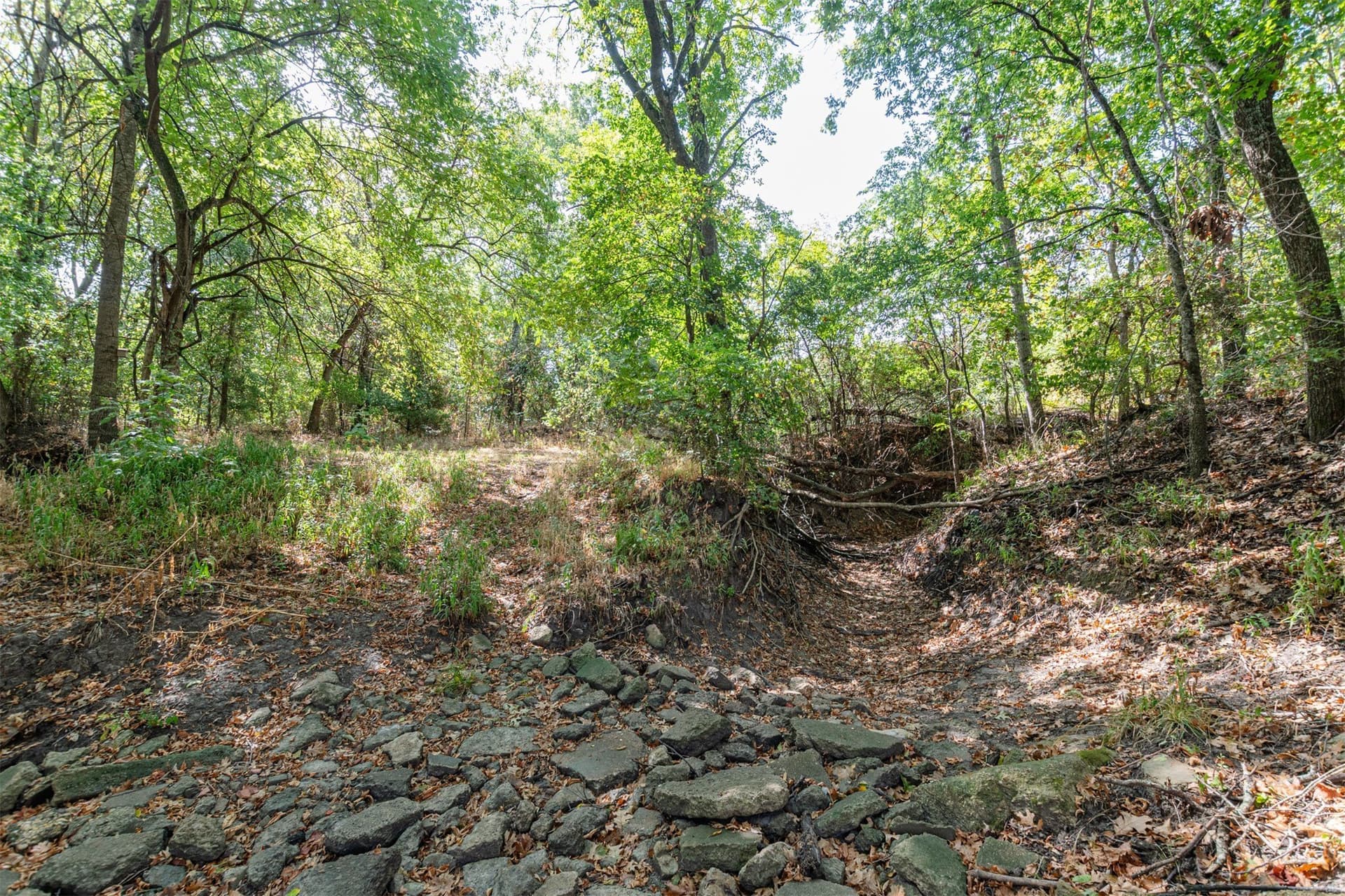 69 acres in Hunt County - photo 11