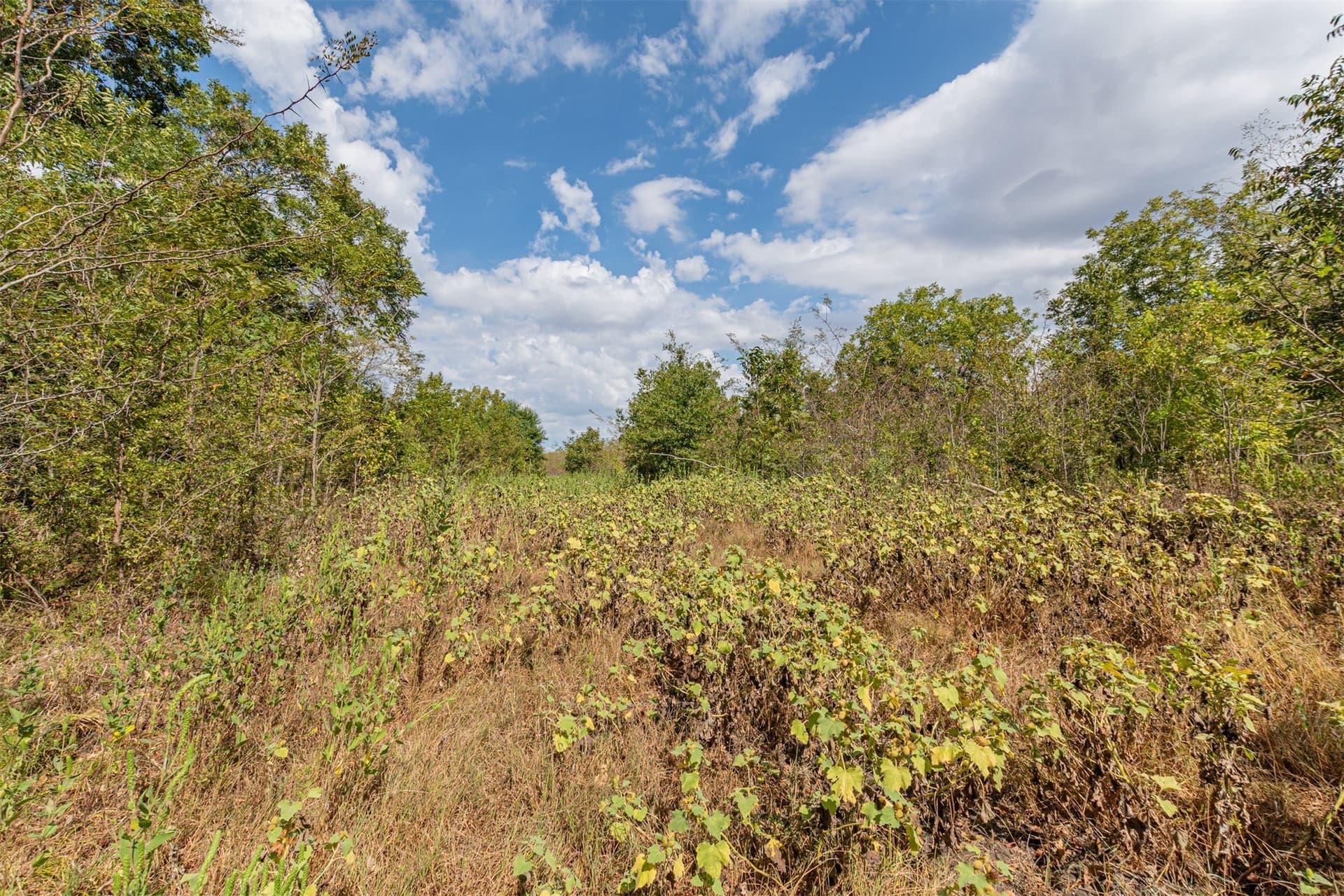 69 acres in Hunt County - photo 5