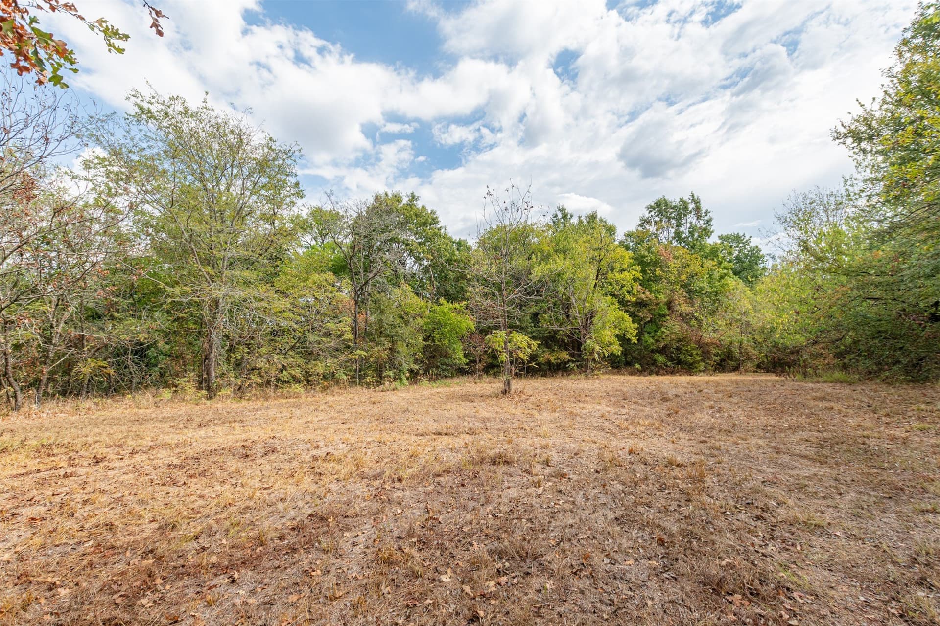69 acres in Hunt County - photo 6