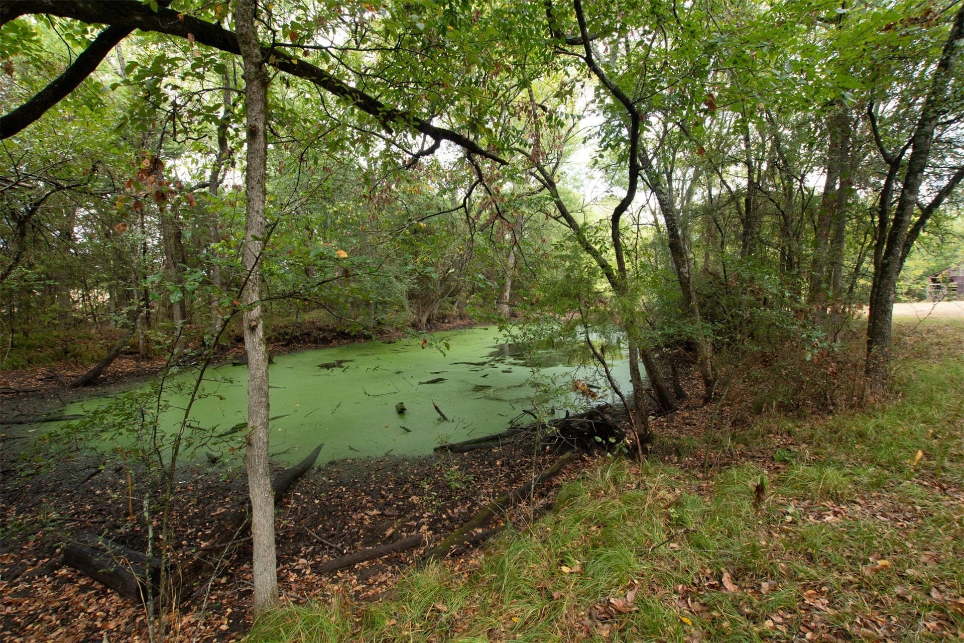69 acres in Hunt County - photo 4