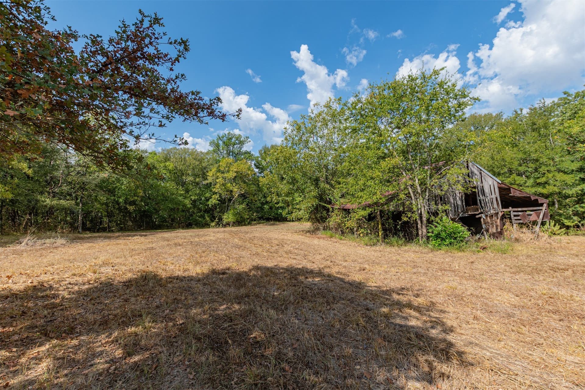 69 acres in Hunt County - photo 18