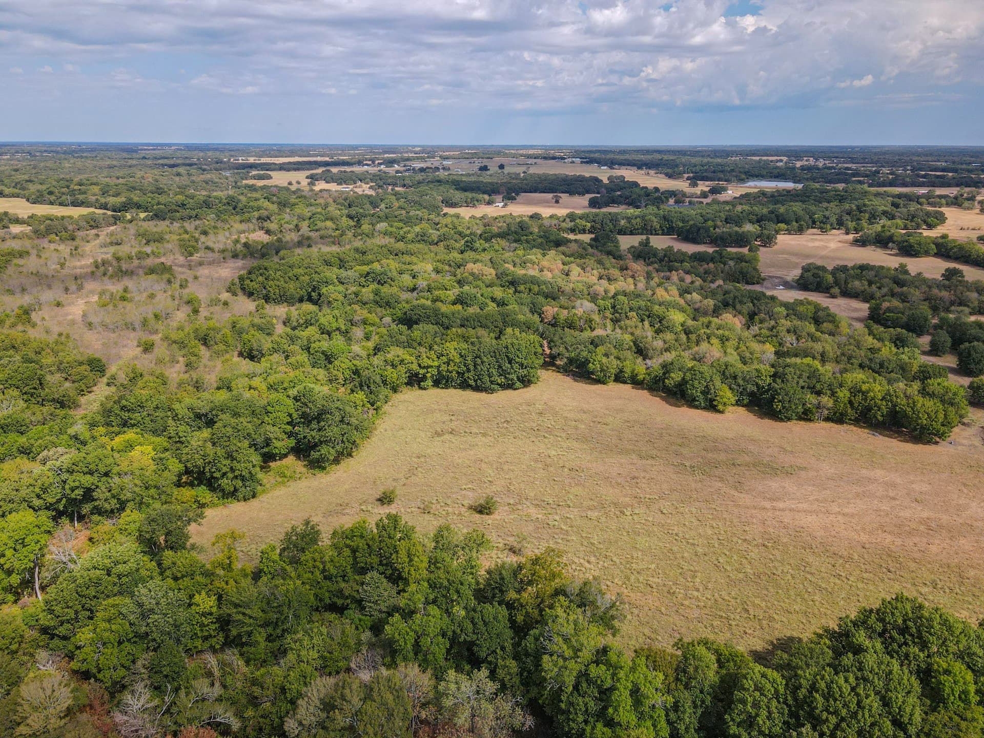 69 acres in Hunt County - photo 19