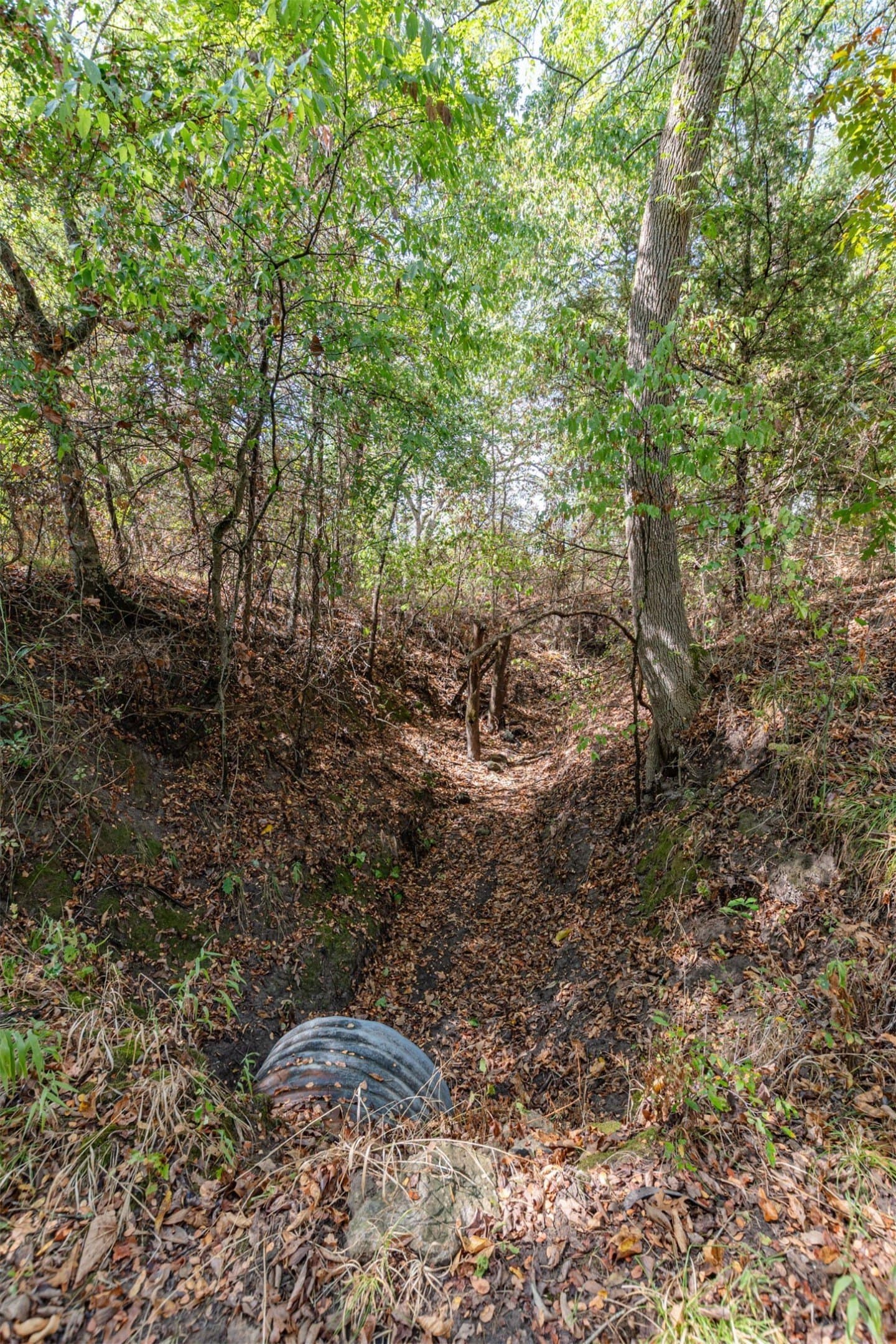 69 acres in Hunt County - photo 8