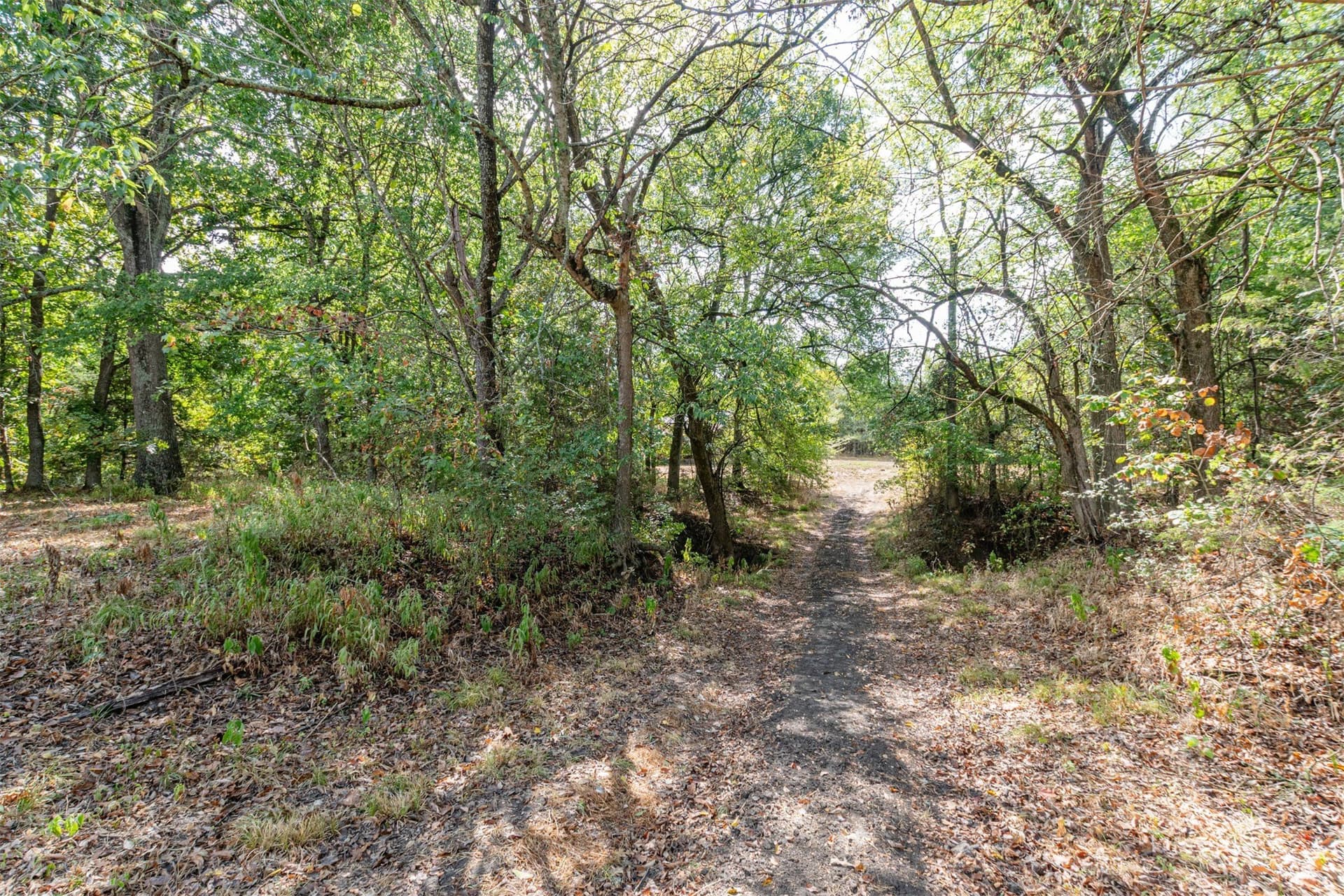 69 acres in Hunt County - photo 9