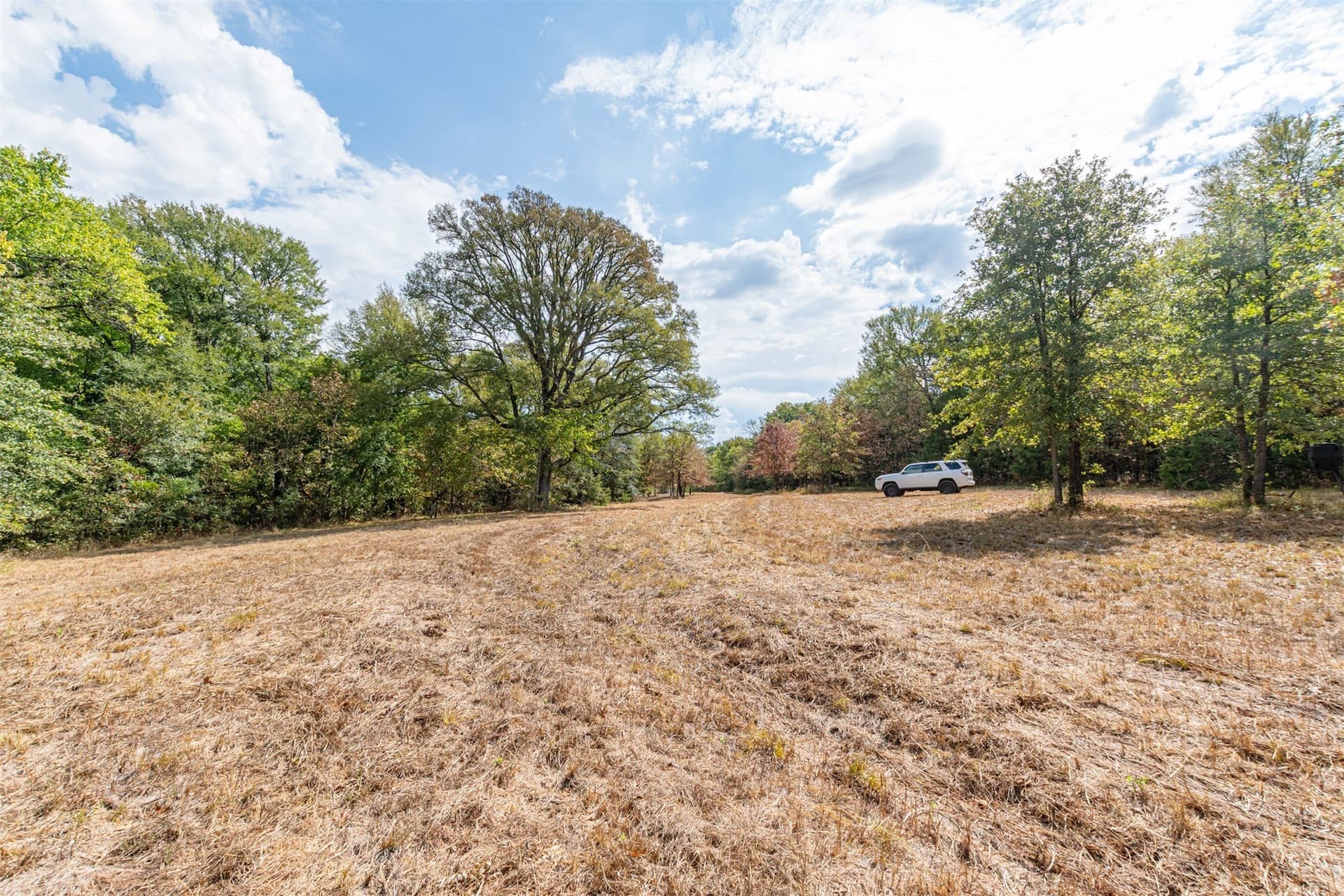 69 acres in Hunt County