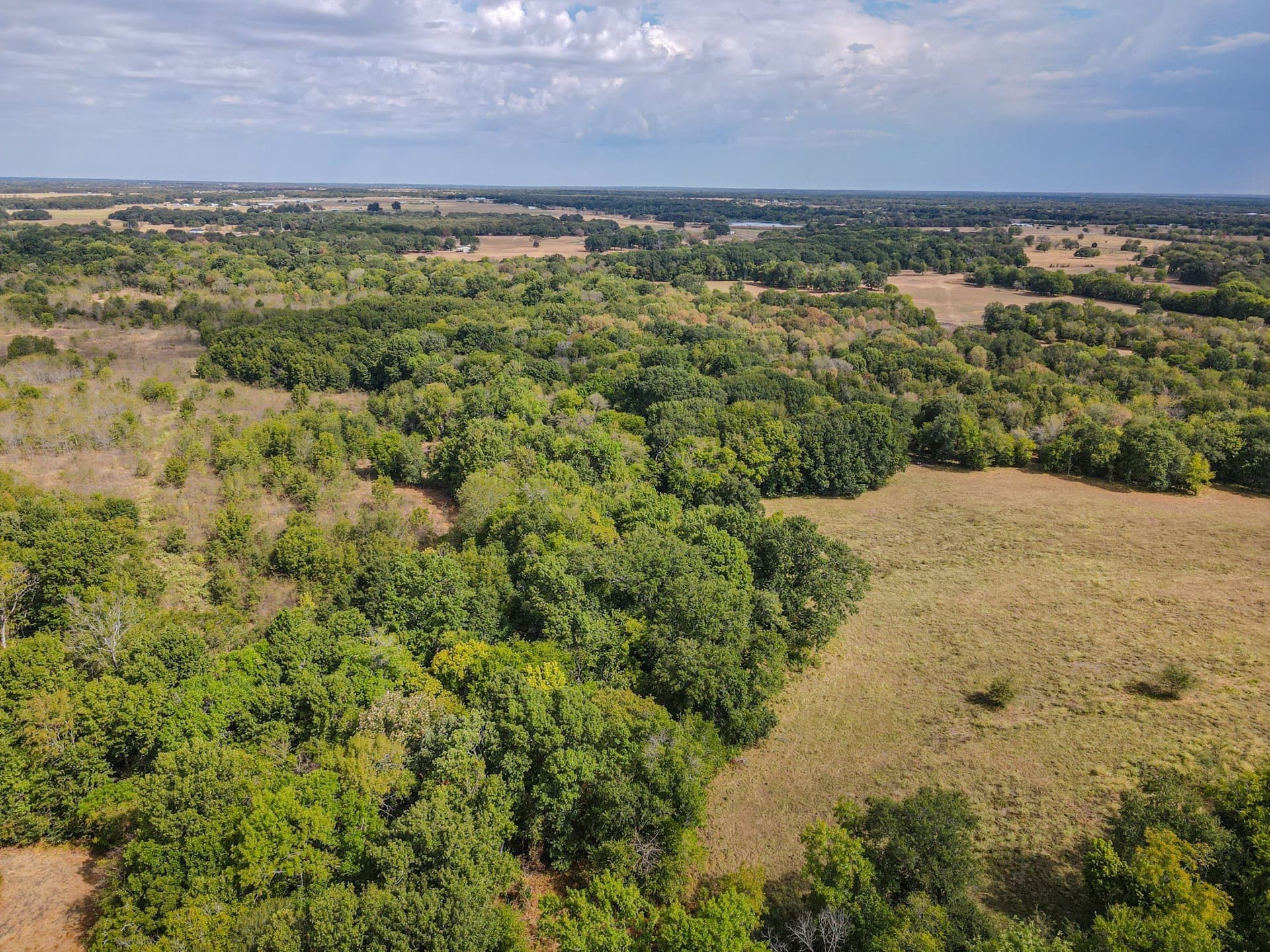 69 acres in Hunt County - photo 17