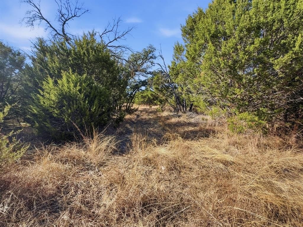 100 acres in Hamilton County gallery image 4