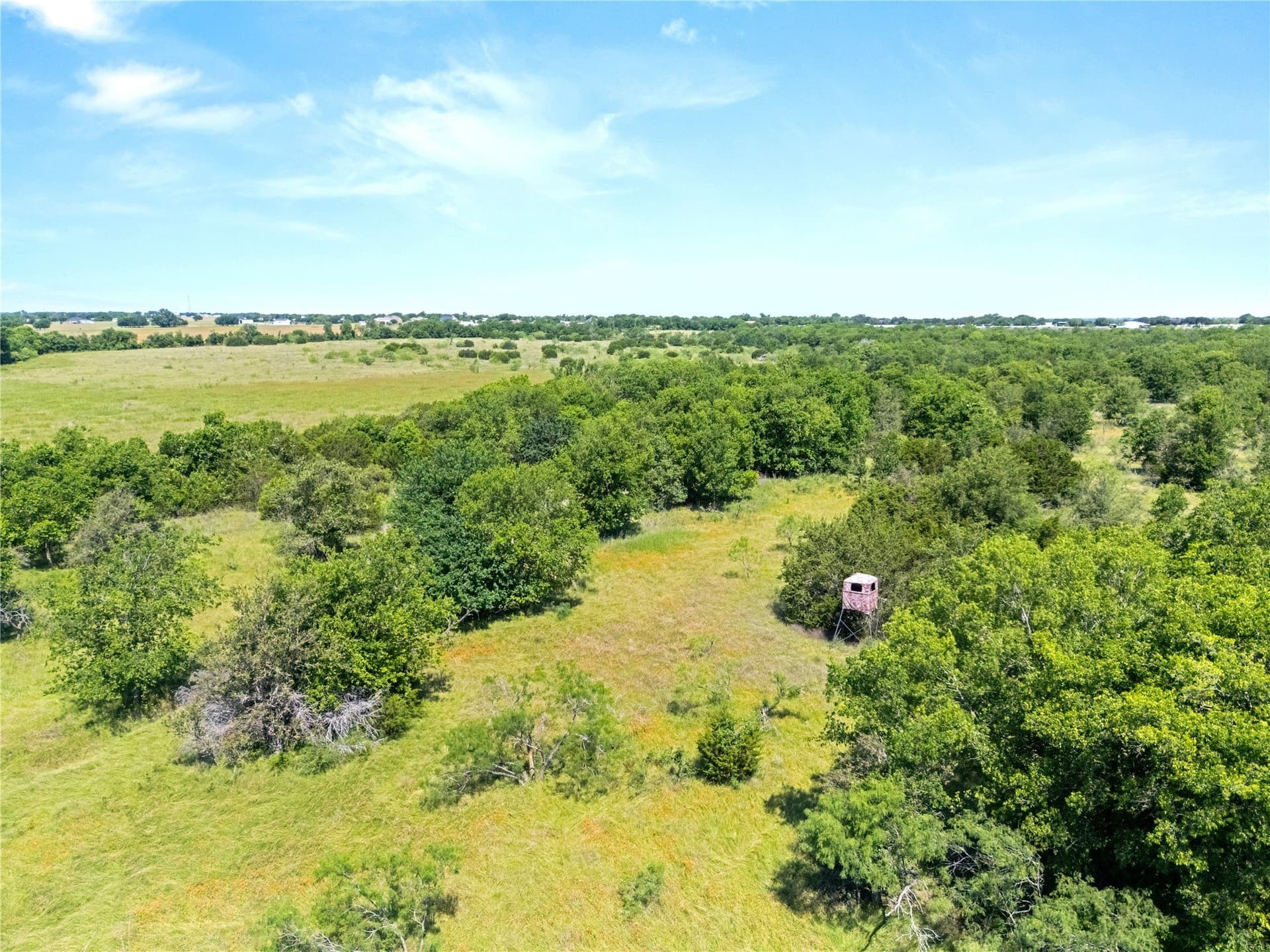67.5 acres in McLennan County gallery image 2