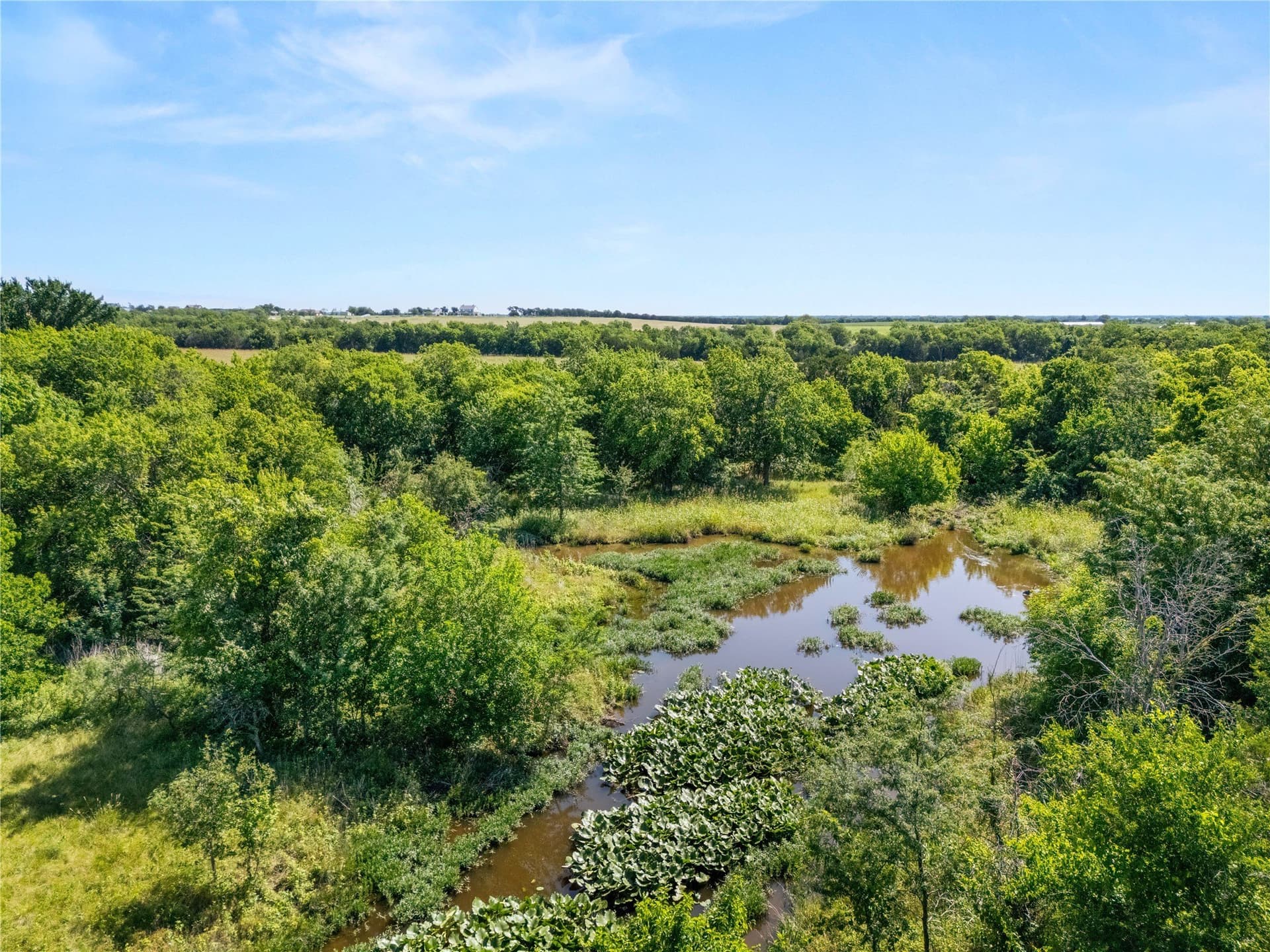 67.5 acres in McLennan County gallery image 4