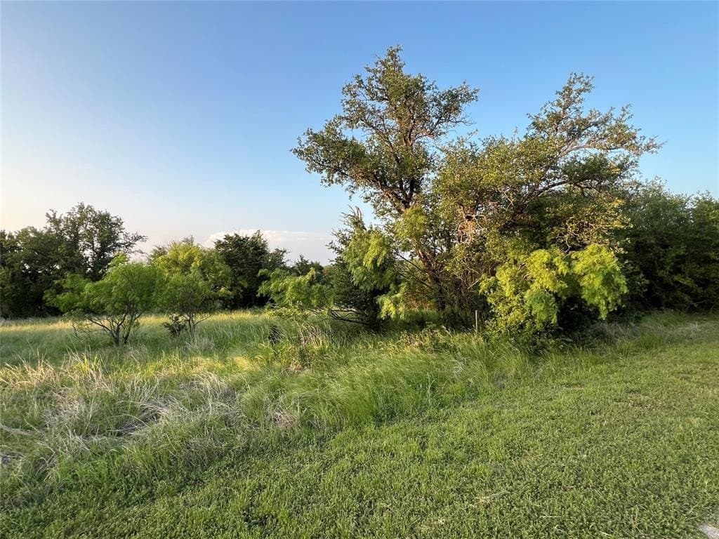 0.25 acres in Palo Pinto County featured view