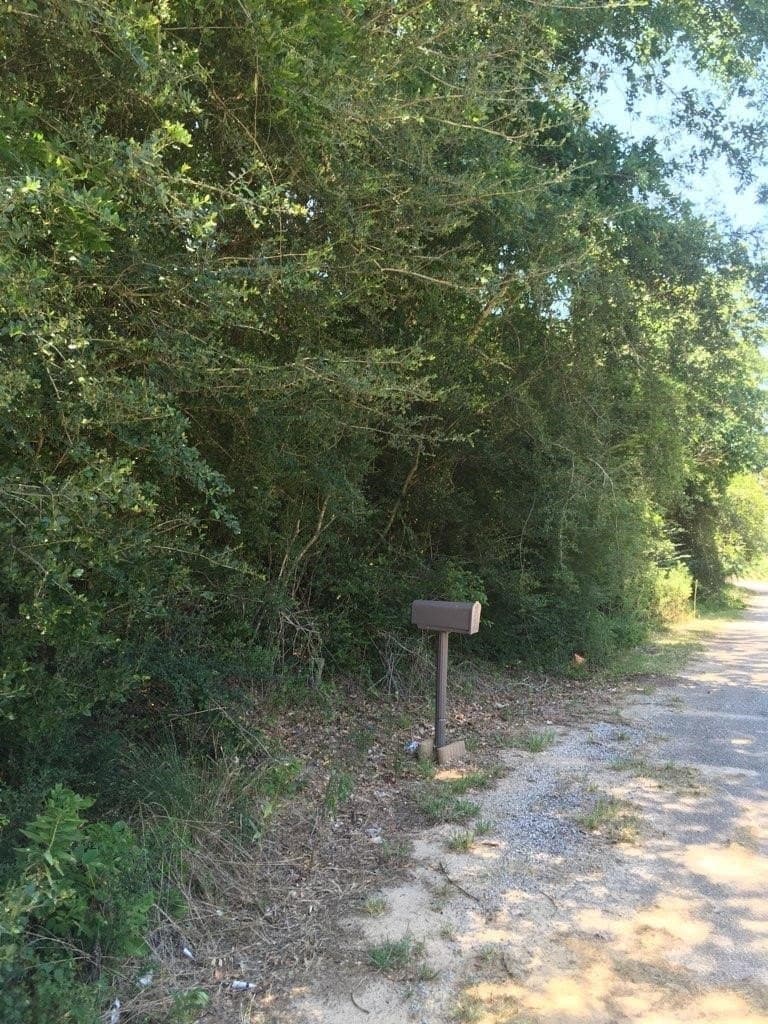 13.09 acres in Newton County - photo 4