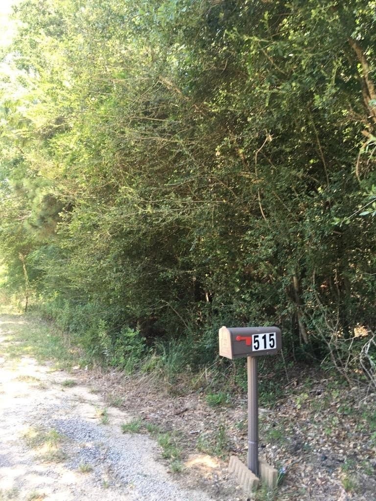 13.09 acres in Newton County - photo 9