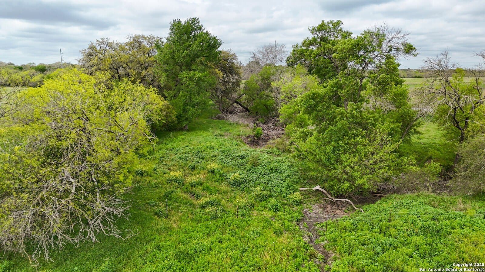145 acres in Medina County - photo 16