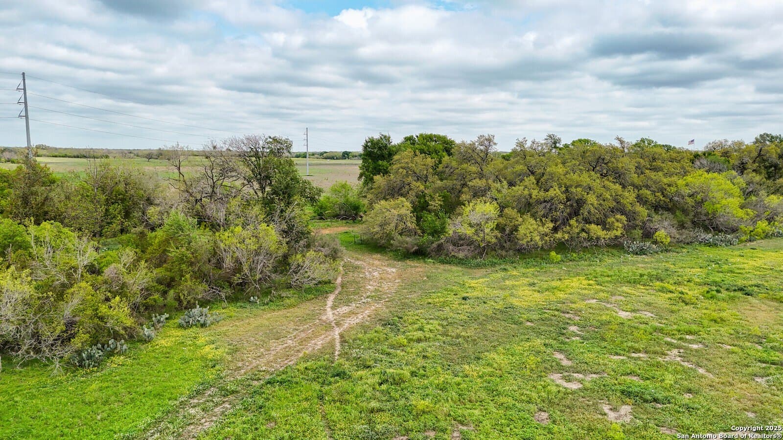 145 acres in Medina County - photo 15