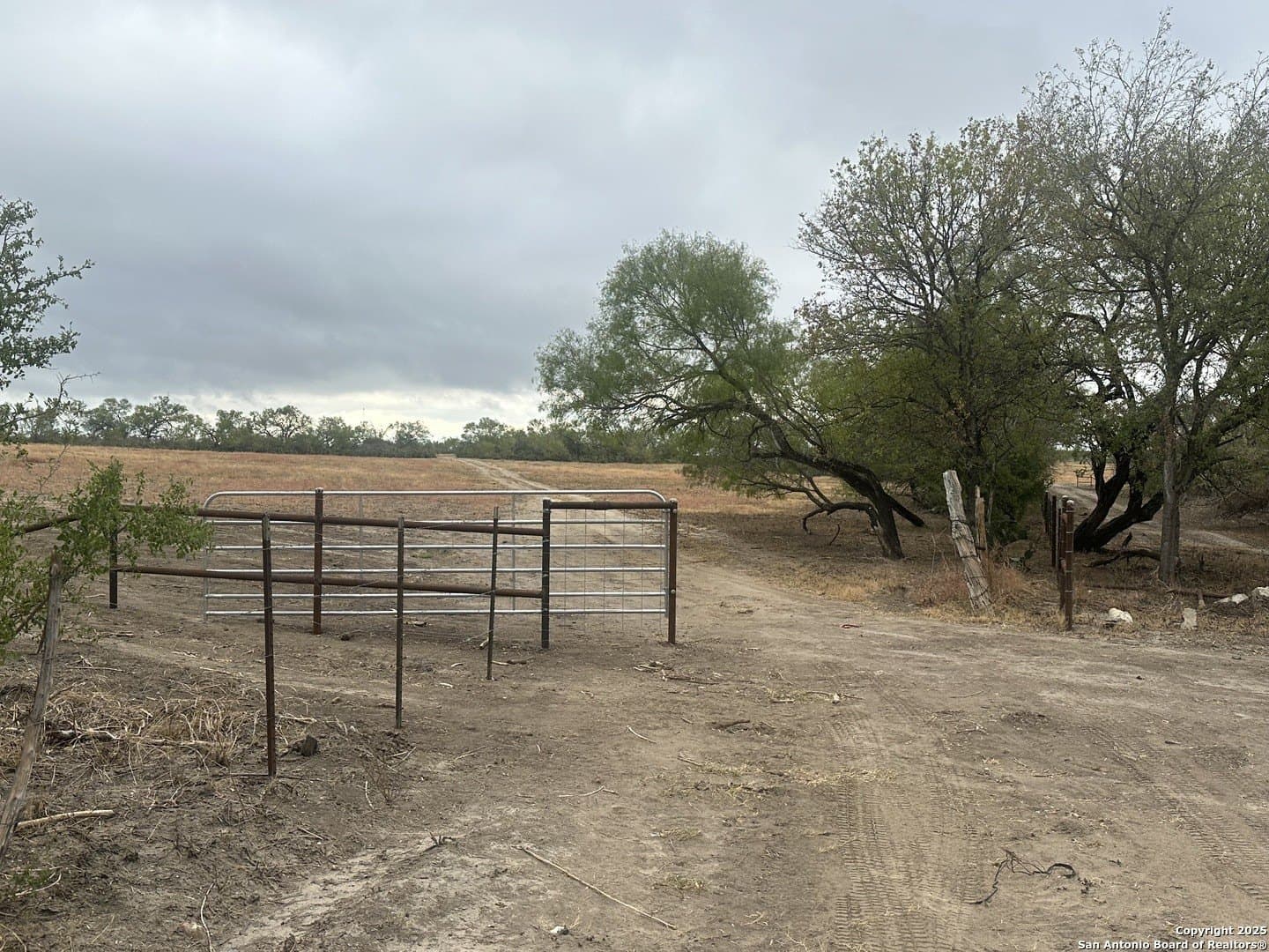 145 acres in Medina County - photo 10