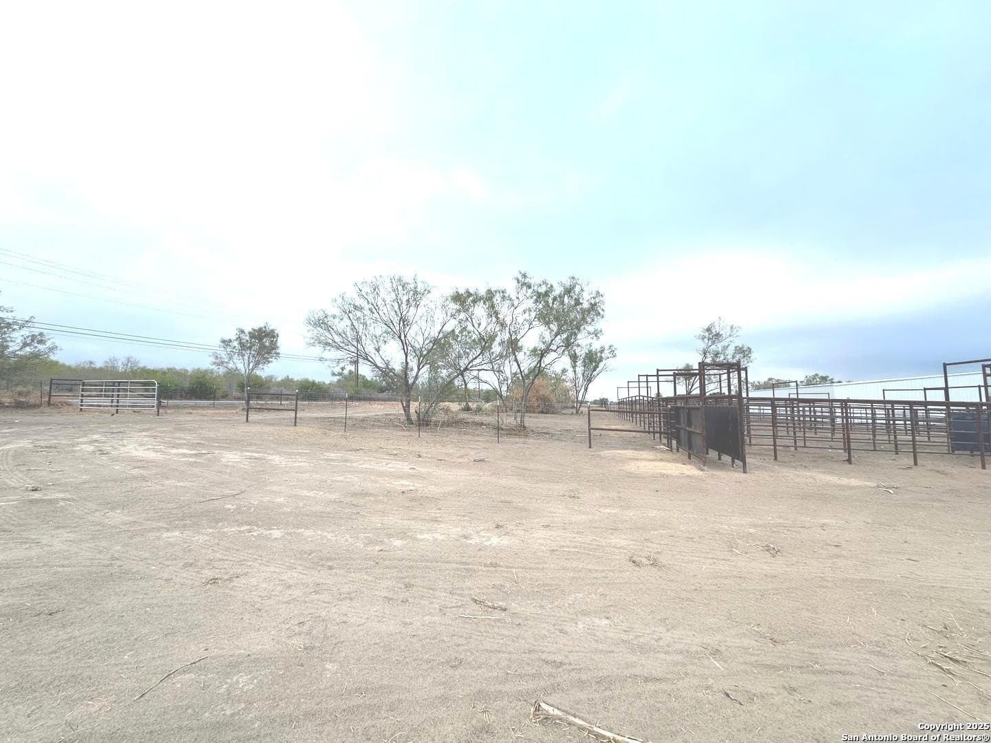145 acres in Medina County - photo 6