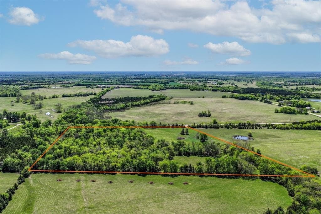 19 acres in Lamar County gallery image 4