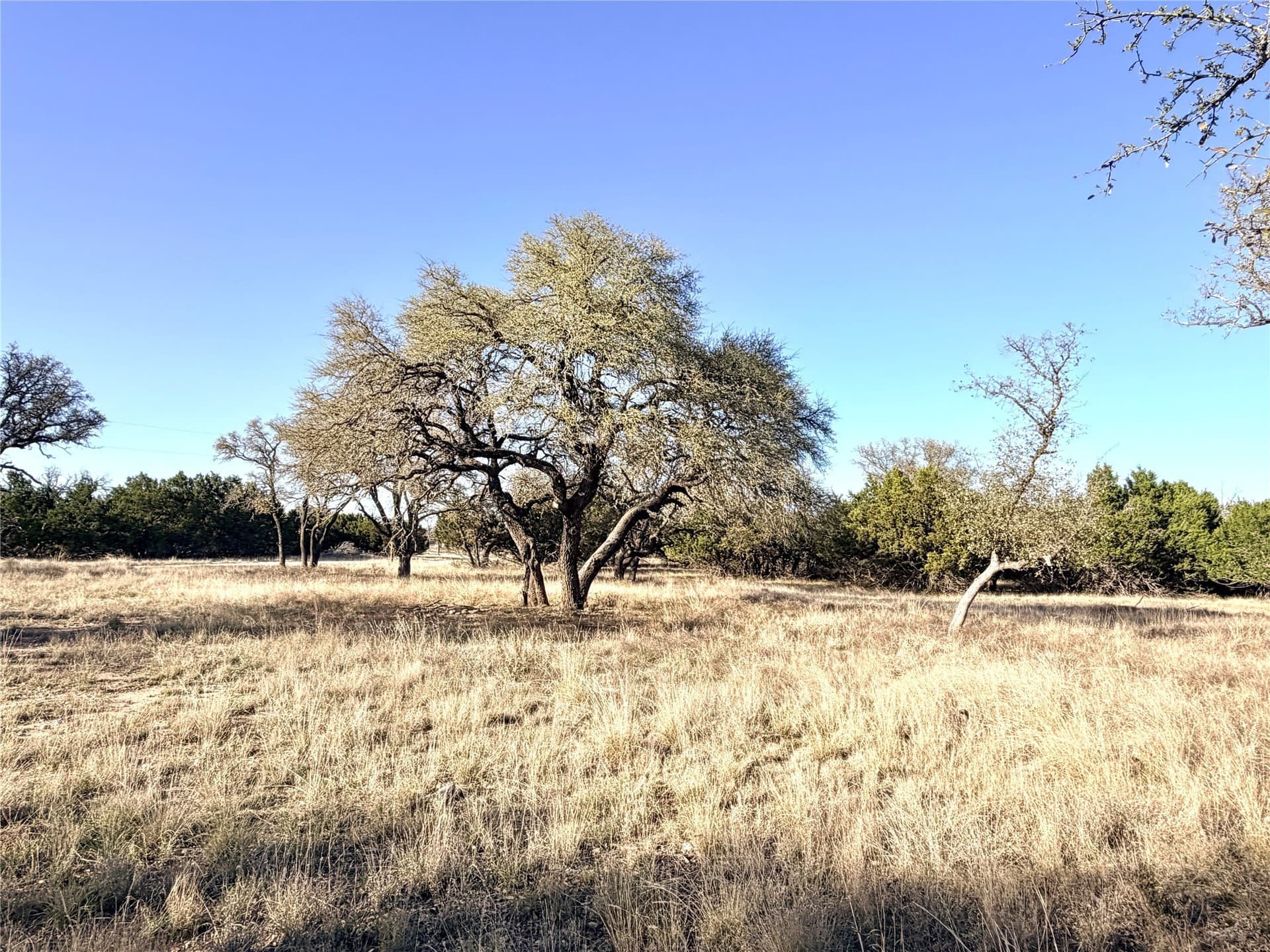 69.03 acres in Mills County - photo 22