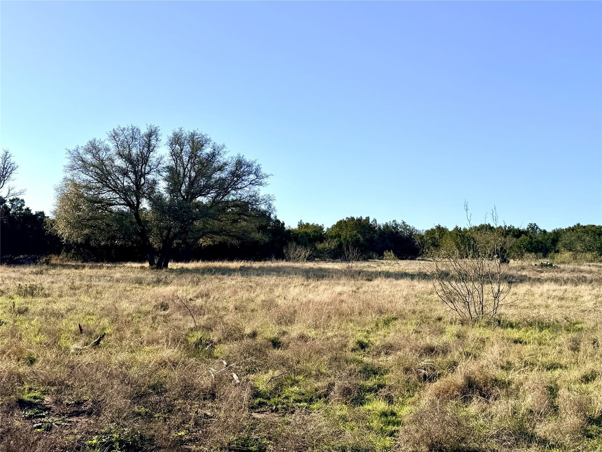 69.03 acres in Mills County - photo 3