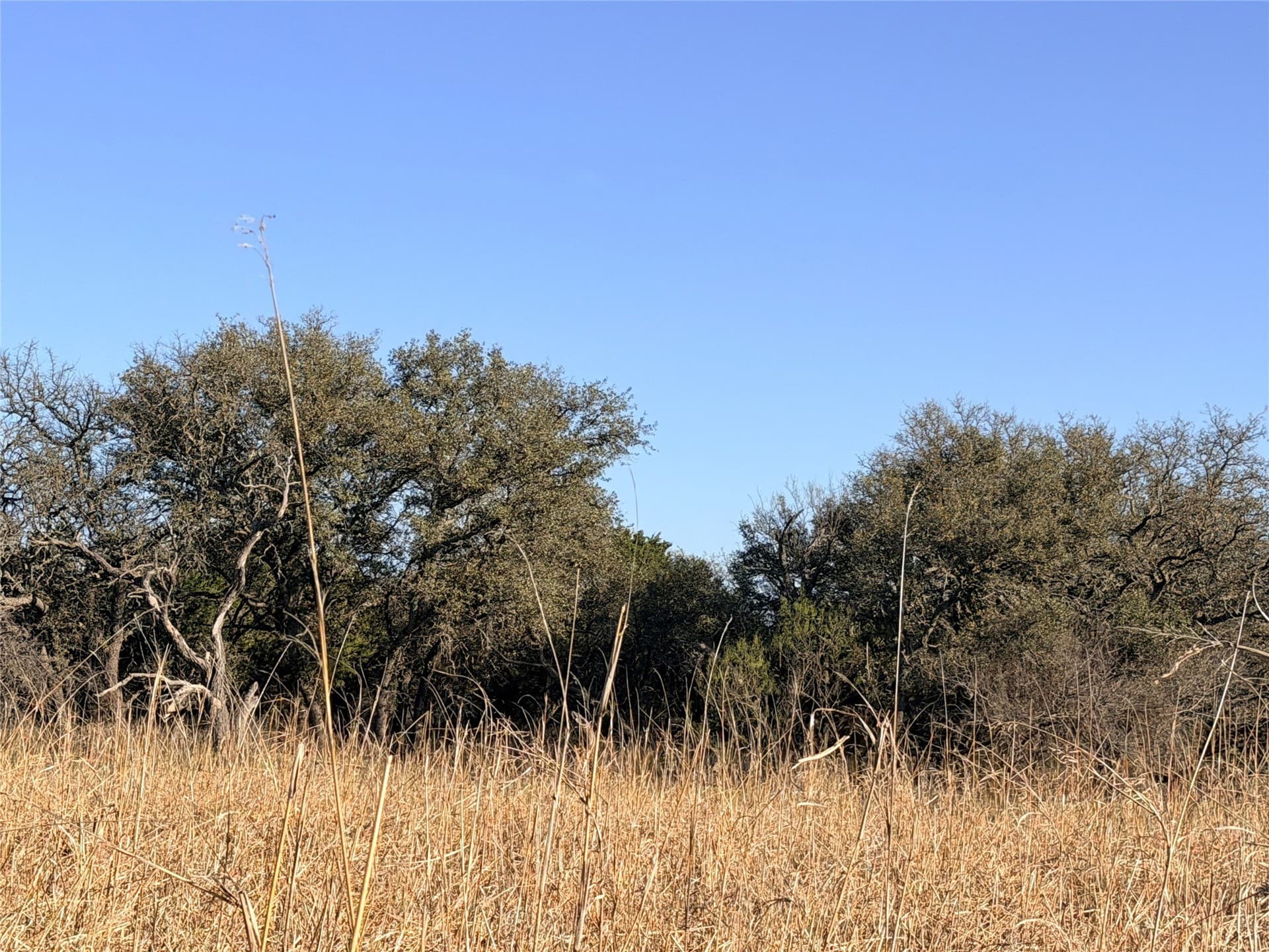 69.03 acres in Mills County - photo 8