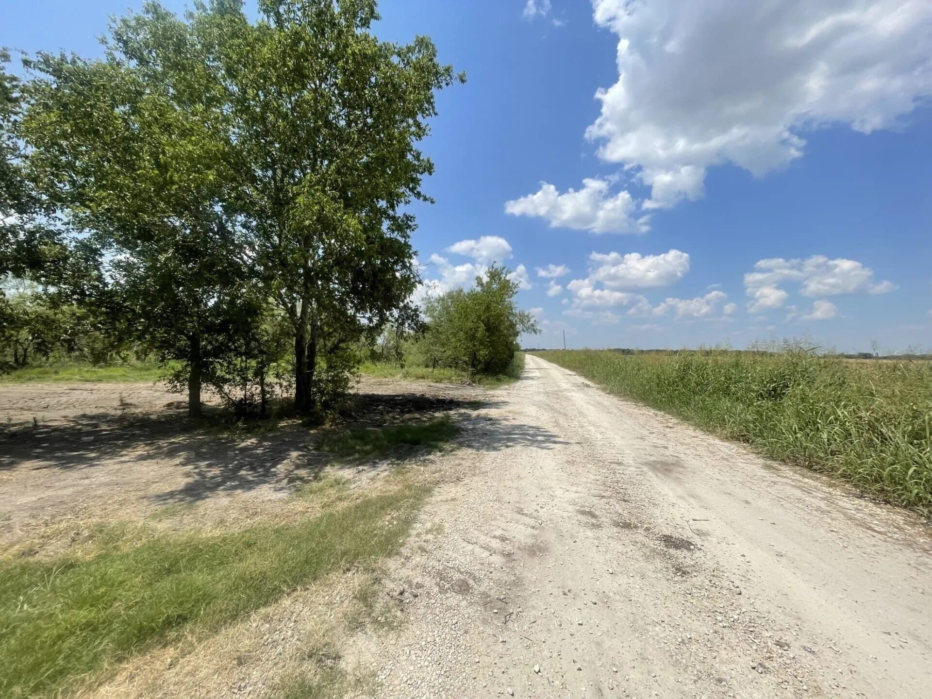 3.43 acres in Limestone County - photo 36