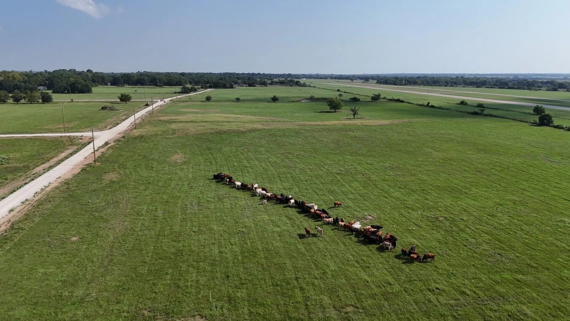 3.43 acres in Limestone County - photo 7