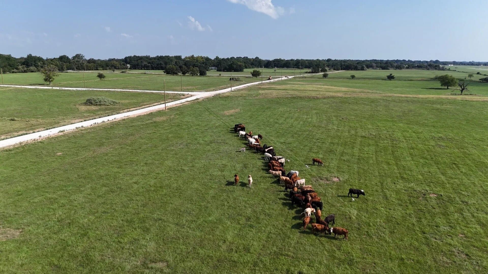 3.43 acres in Limestone County - photo 8