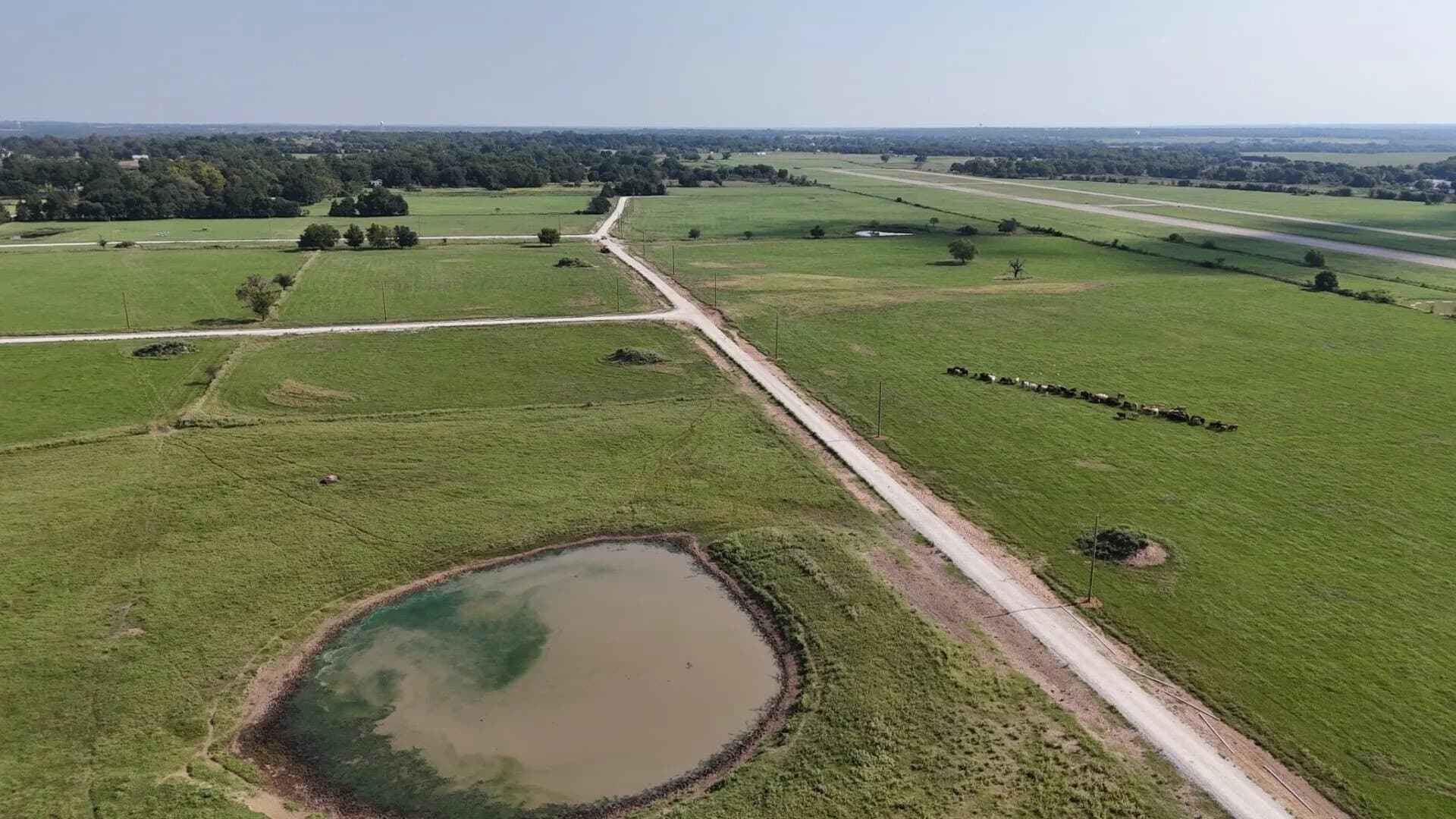 3.43 acres in Limestone County - photo 6