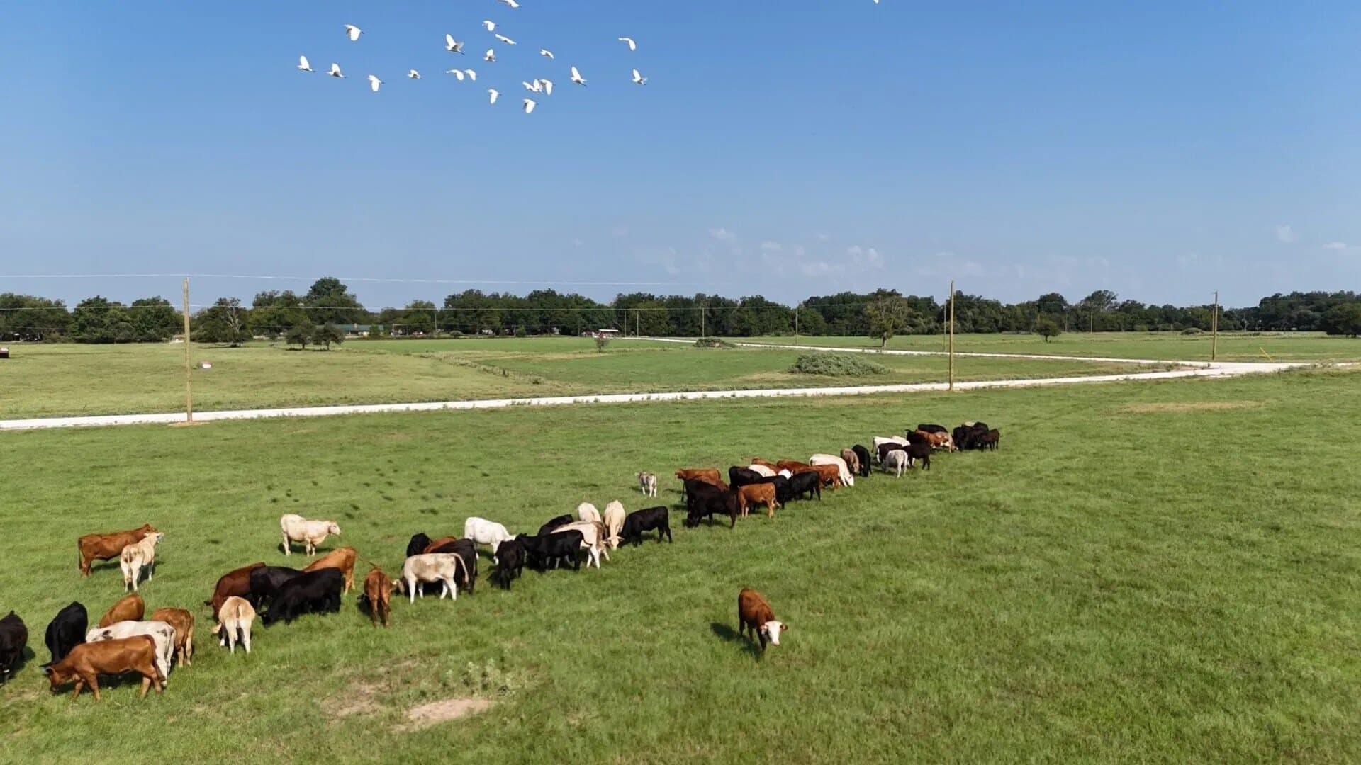 3.43 acres in Limestone County - photo 10