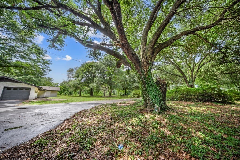 16.09 acres in Texas County - photo 25