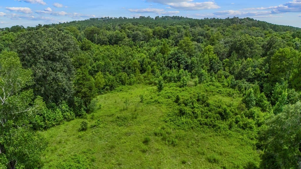 16.09 acres in Texas County - photo 17