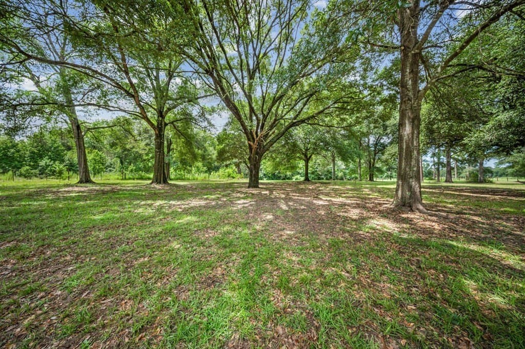 16.09 acres in Texas County - photo 24