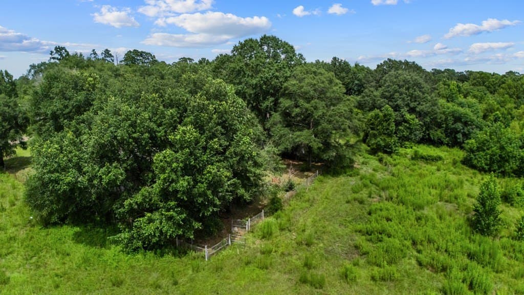 16.09 acres in Texas County - photo 18