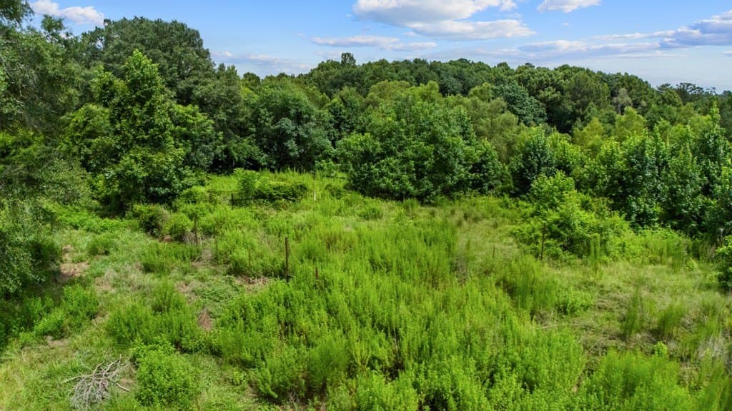 16.09 acres in Texas County - photo 16