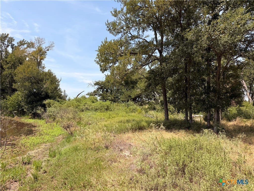 23.15 acres in Bell County - photo 20