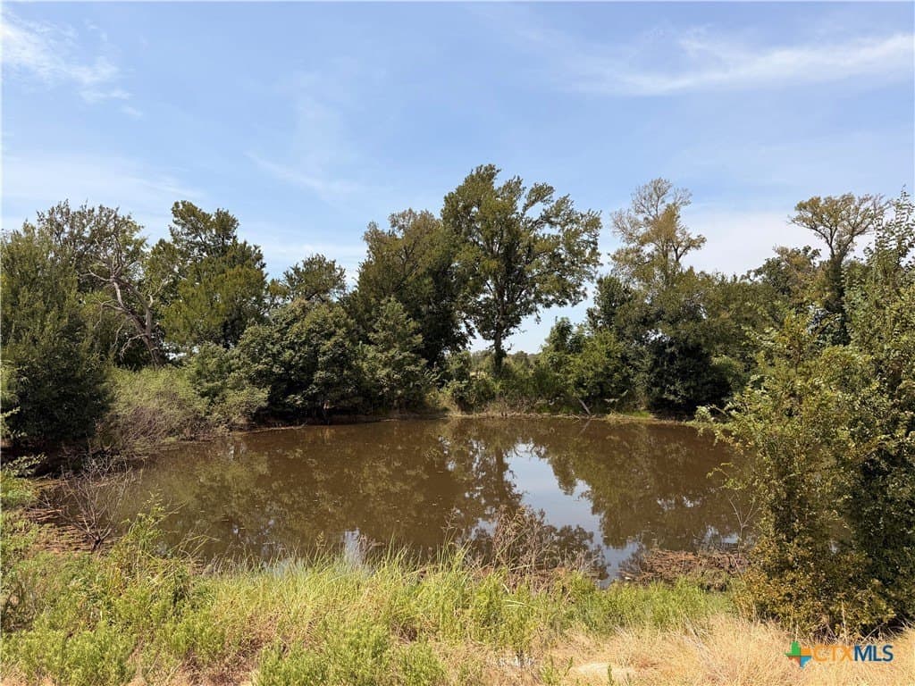 23.15 acres in Bell County - photo 16