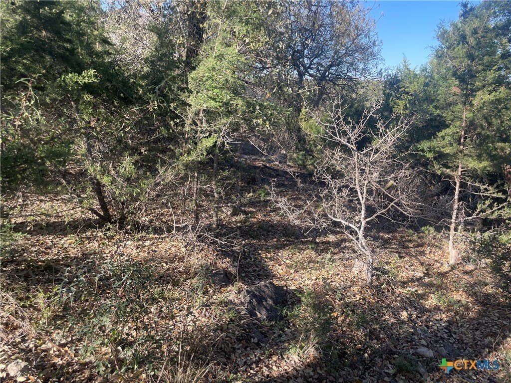 0.97 acres in Bell County - photo 11