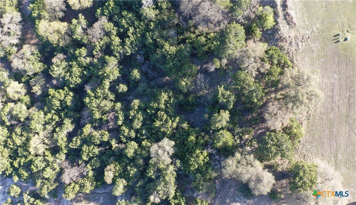 0.97 acres in Bell County - photo 7