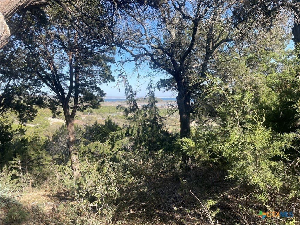 0.97 acres in Bell County - photo 13