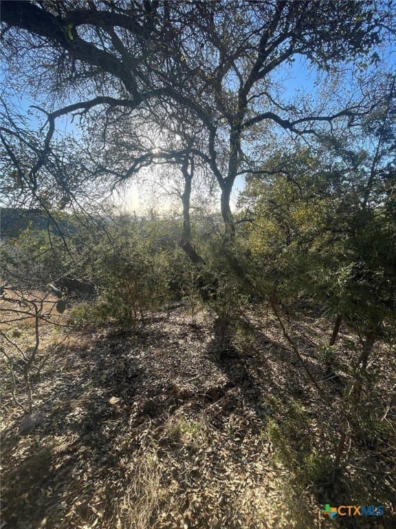 0.97 acres in Bell County - photo 9