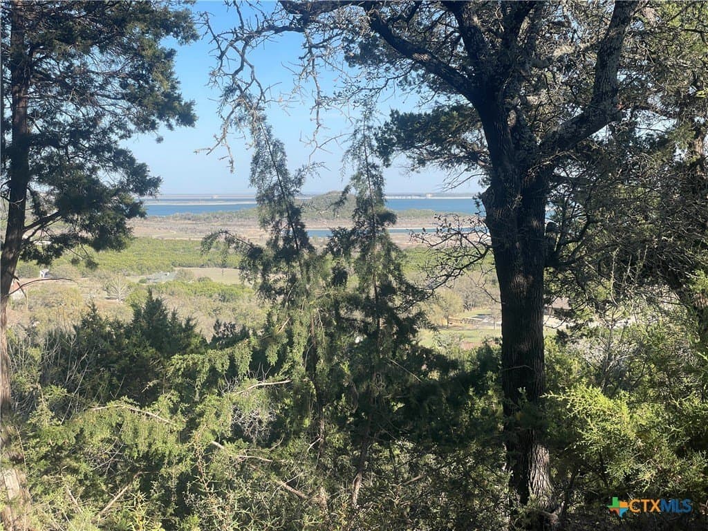 0.97 acres in Bell County - photo 12