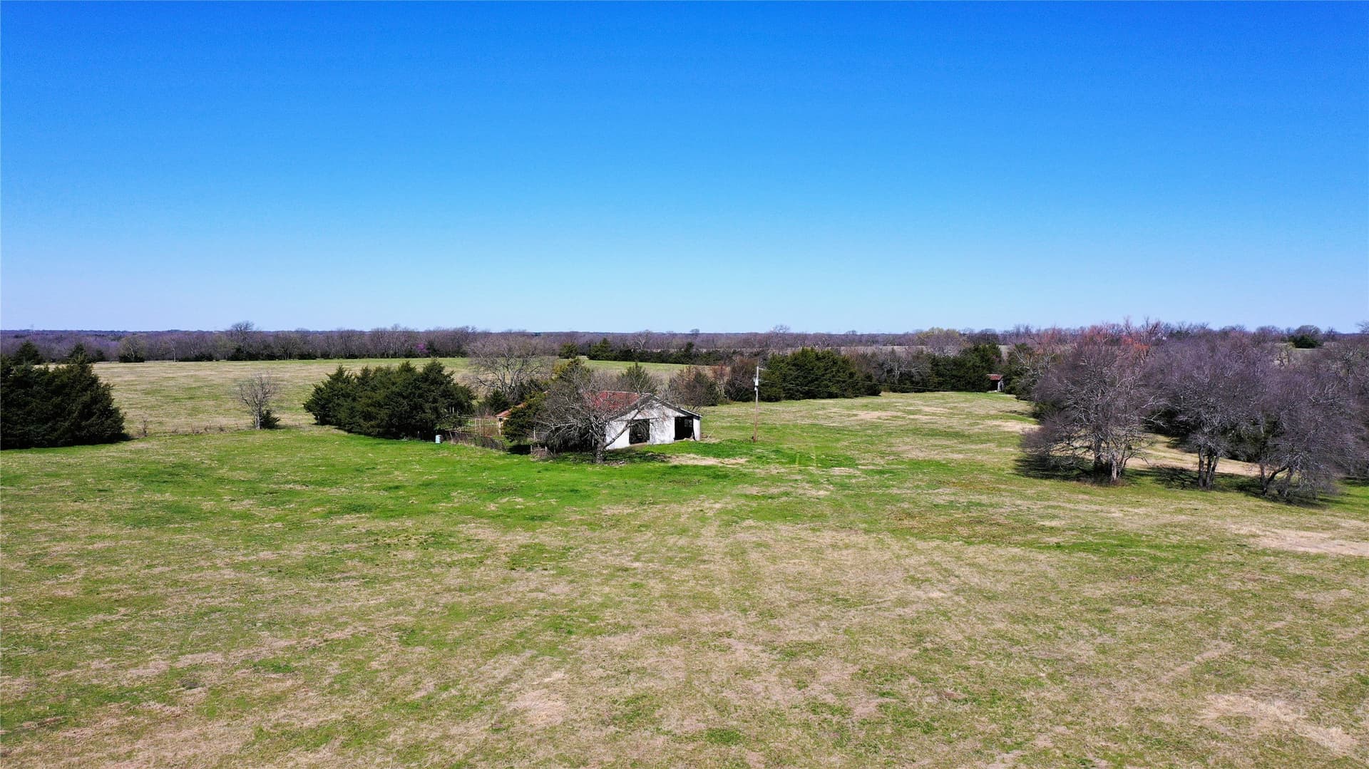 32.76 acres in Fannin County - photo 6
