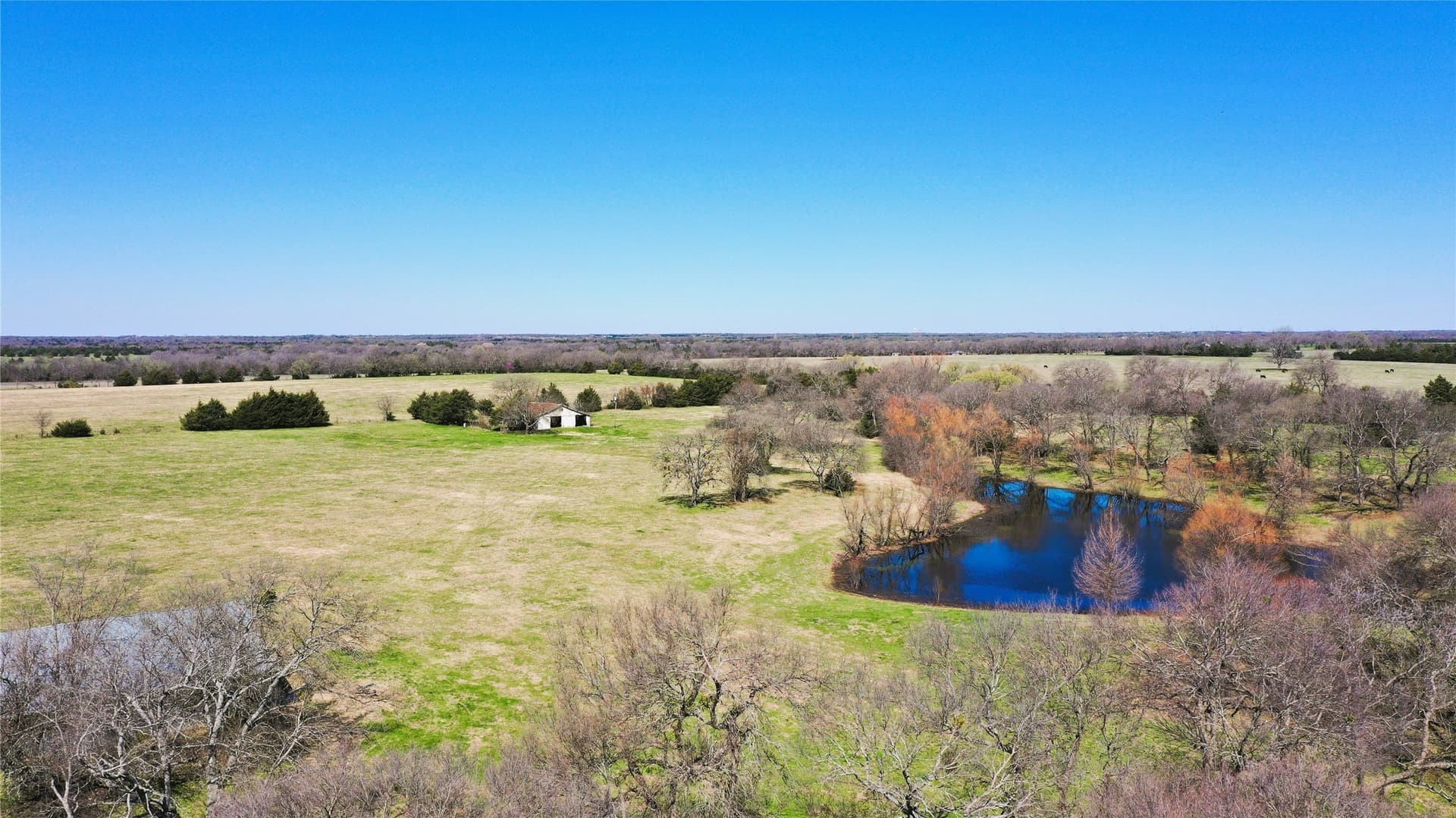 32.76 acres in Fannin County - photo 5