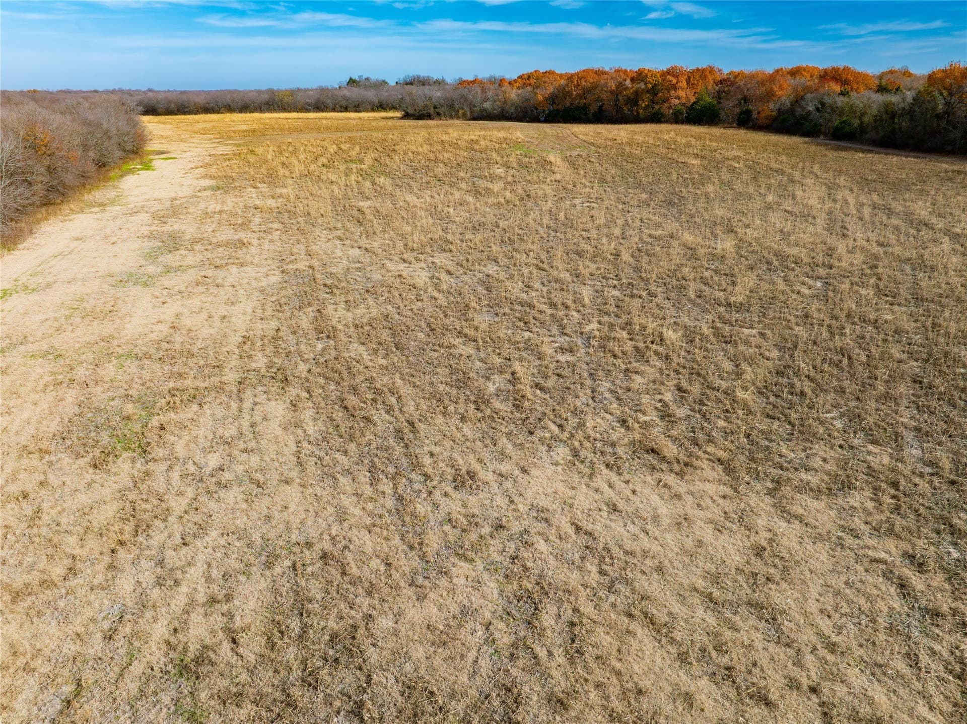 144 acres in Ellis County - photo 19