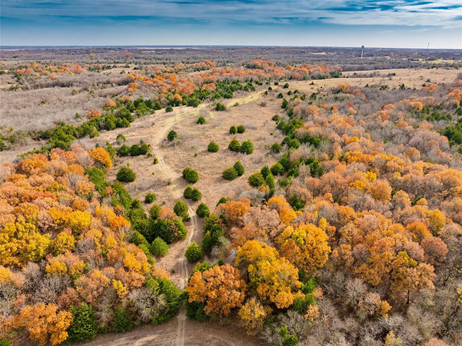 144 acres in Ellis County - photo 30