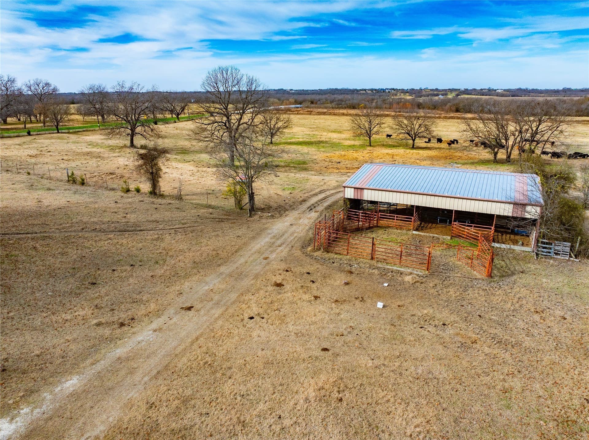 144 acres in Ellis County - photo 8