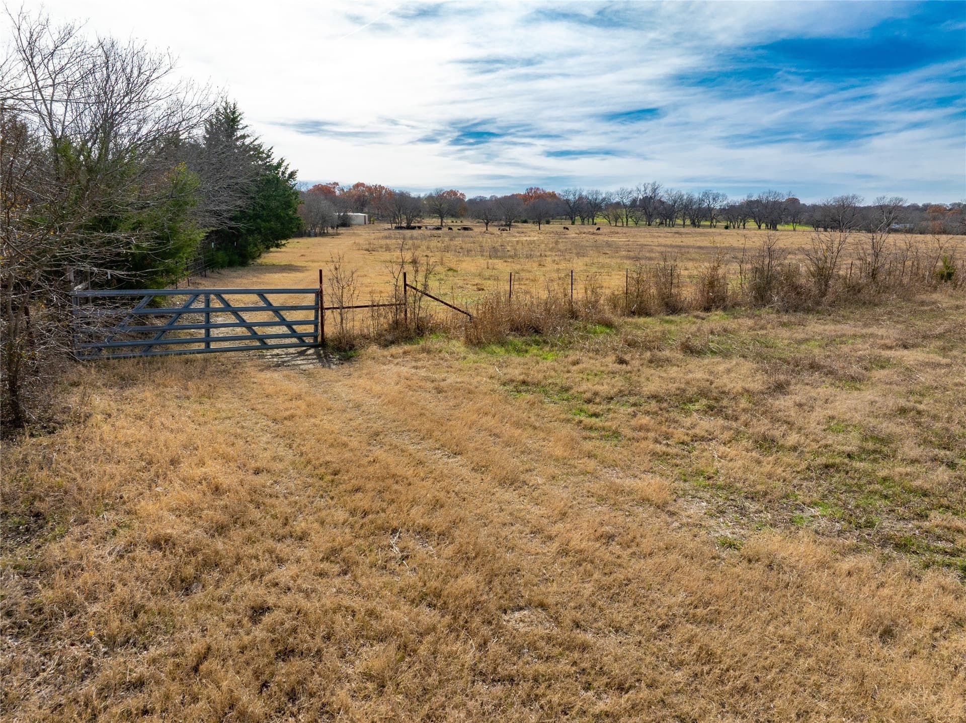 144 acres in Ellis County - photo 10