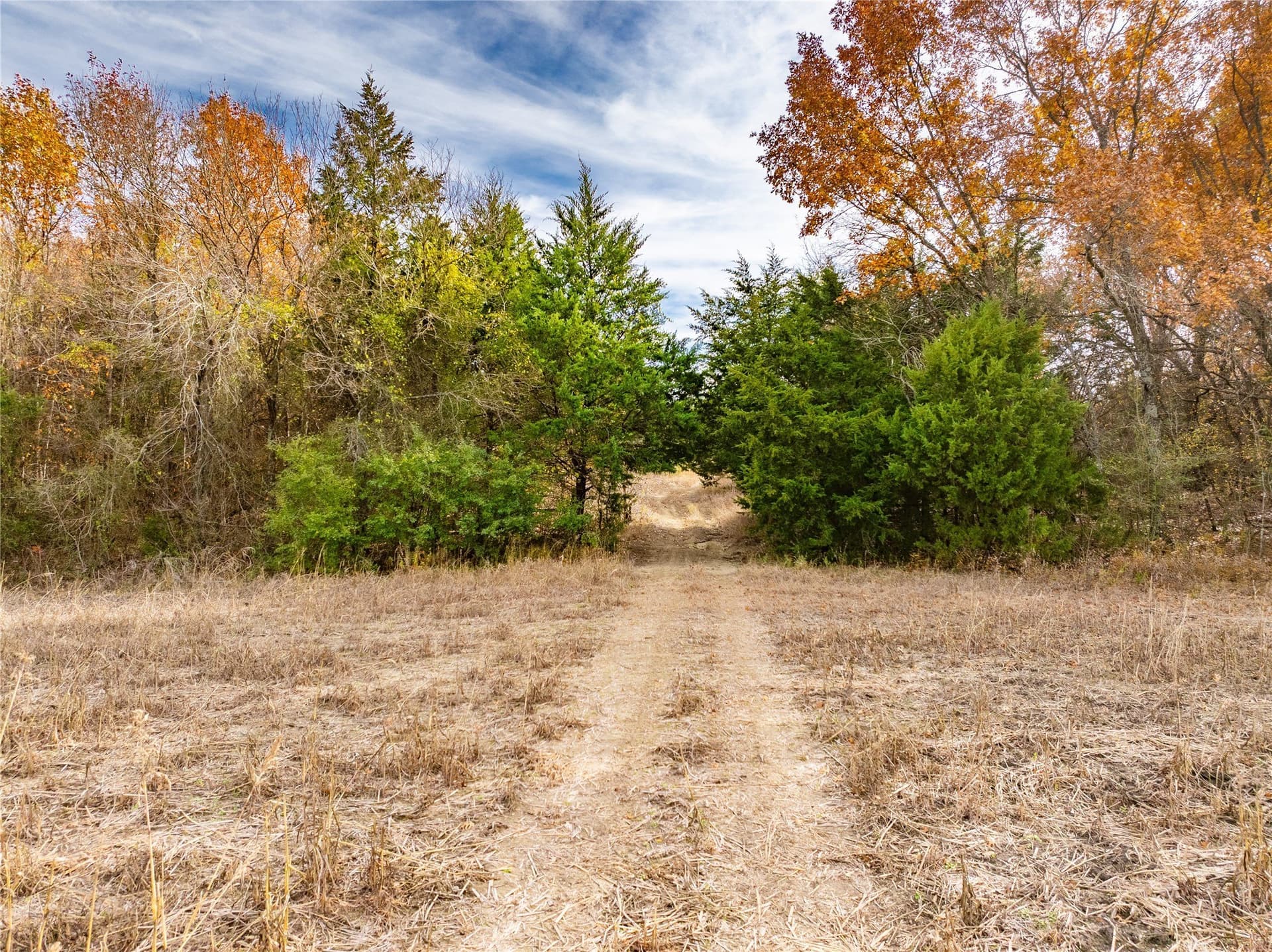 144 acres in Ellis County - photo 29