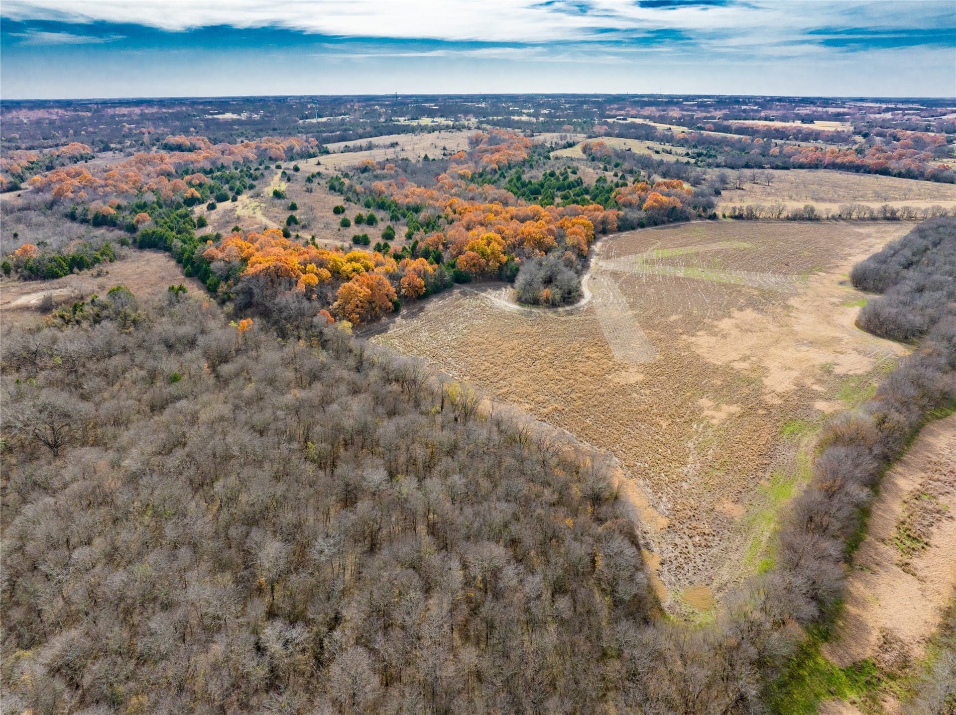 144 acres in Ellis County - photo 17