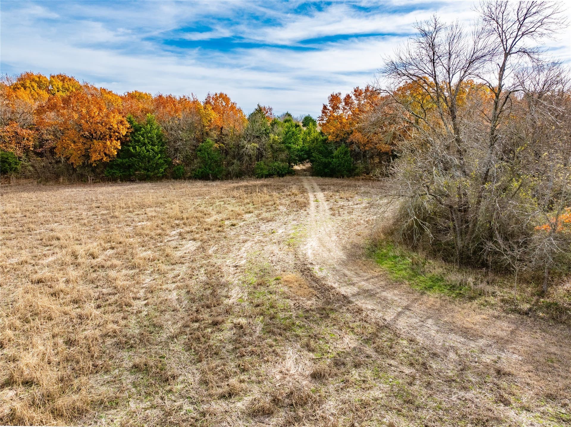 144 acres in Ellis County - photo 27